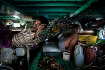 2 Fish Sticks and Fair Trade The next step in seafood labeling