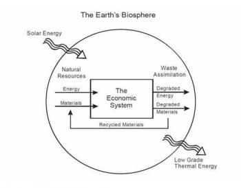 Figure 3: The Steady State Economy 