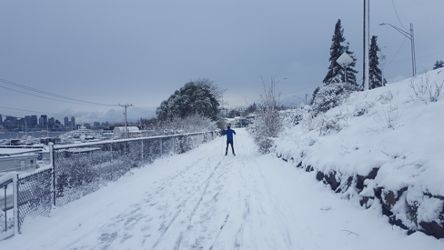 A person wearing a blue jacket is seen far away from the camera on cross country skis. They are skiing on a snow covered path marked with footprints and other tracks in the snow.
