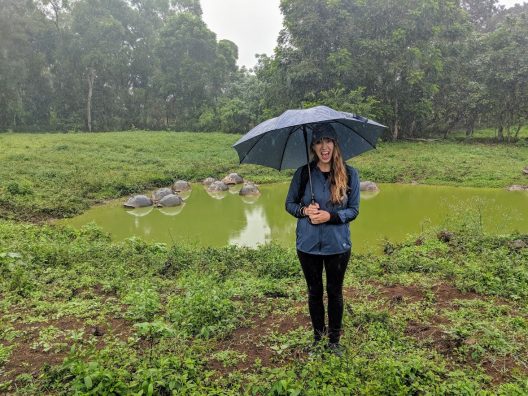A woman wearing a gray jacket and black pants stands holding an umbrella in the rain. In the background a green pond is dotted with 12 tortoises seen with their shells sticking out of the water.