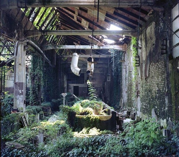 An abandoned garment factory stands in disrepair, eerily beautiful as sunlight shines on the moss and shrubbery that now cover most of its surfaces. Disconnected pipe fragments hang from the remains of the ceiling.