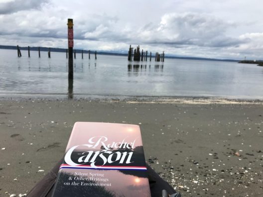 The book Silent Spring is held out in front of a sandy beach on the Puget Sound.