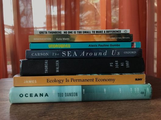 A stack of 7 books, a mixture of hardcover and paperback.