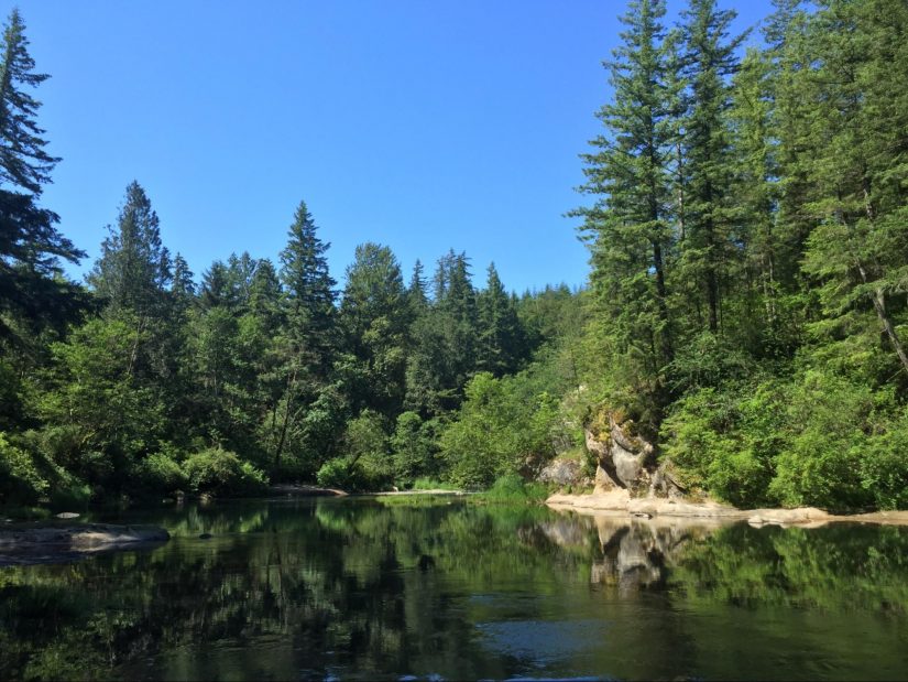 A calm section of river in summertime reflecting the surrounding greenery and blue sky