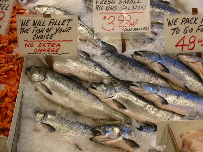 Silvery salmon lay in a bed of ice at a fish market with various signs around indicating their cost and availability to be purchased.