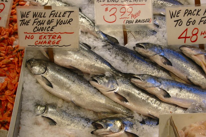 Silvery salmon lay in a bed of ice at a fish market with various signs around indicating their cost and availability to be purchased.
