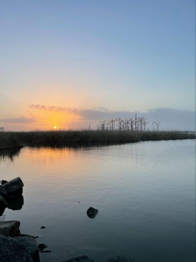 Sunset by a Louisiana wetland.