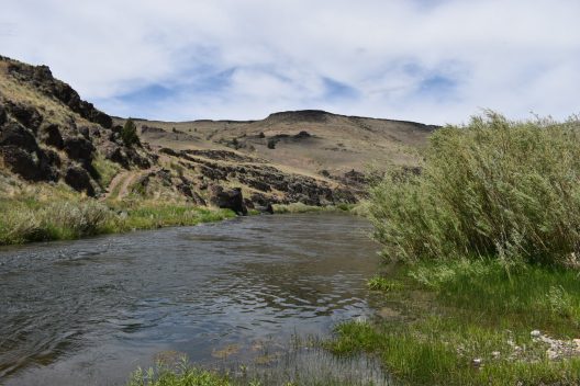 A river flows through a rocky canyon with greenery on its banks. It's a sunny day with partly cloudy skies in the background.