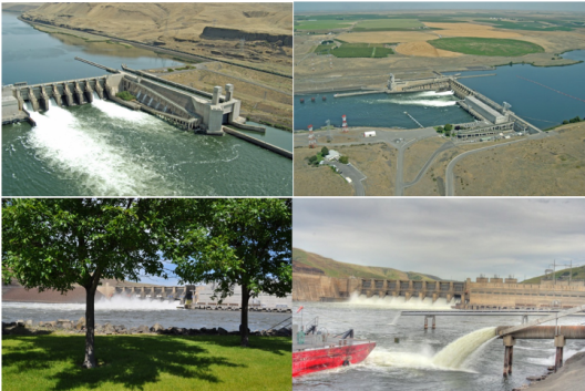 four images depicting each of the lower Snake River dams.