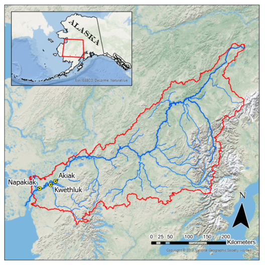 A map depicting the Kuskokwim River watershed. The water shed is outlined in red with the river and its tributaries shown in blue. Three communities (Napakiak, Akiak, and Kwethluk) are marked in the bottom left hand corner. A small inset shows where the watershed sits in western Alaska.