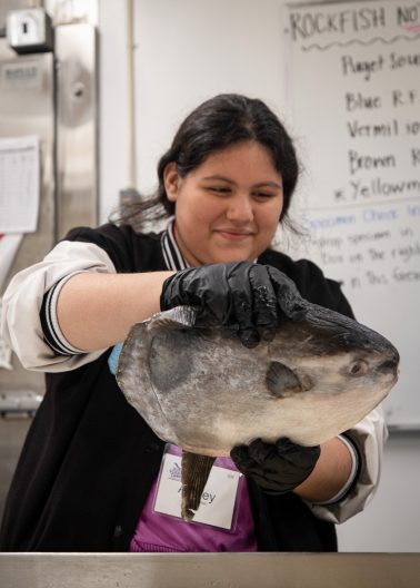 A  camper handles and explores a Mola mola, or Ocean Sunfish, while in the fisheries lab.