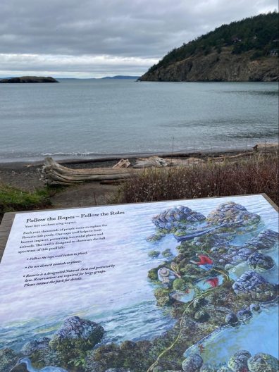 A sign educating the public on proper tide pooling etiquette, overlooks Rosario beach and its tide pools covered in high tide.