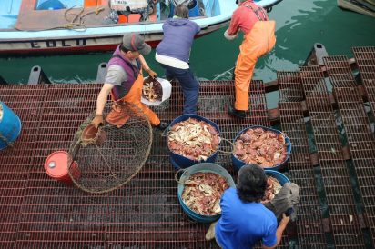 Four fishers are on the dock pulling a boat in. Amongst them are four buckets full of crabs.