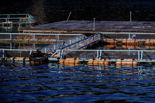 a dock and pens used to raise finish for aquaculture floating in the water