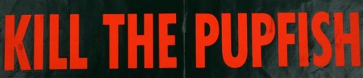 Bold red text of the bumper sticker that says "Kill the pupfish"