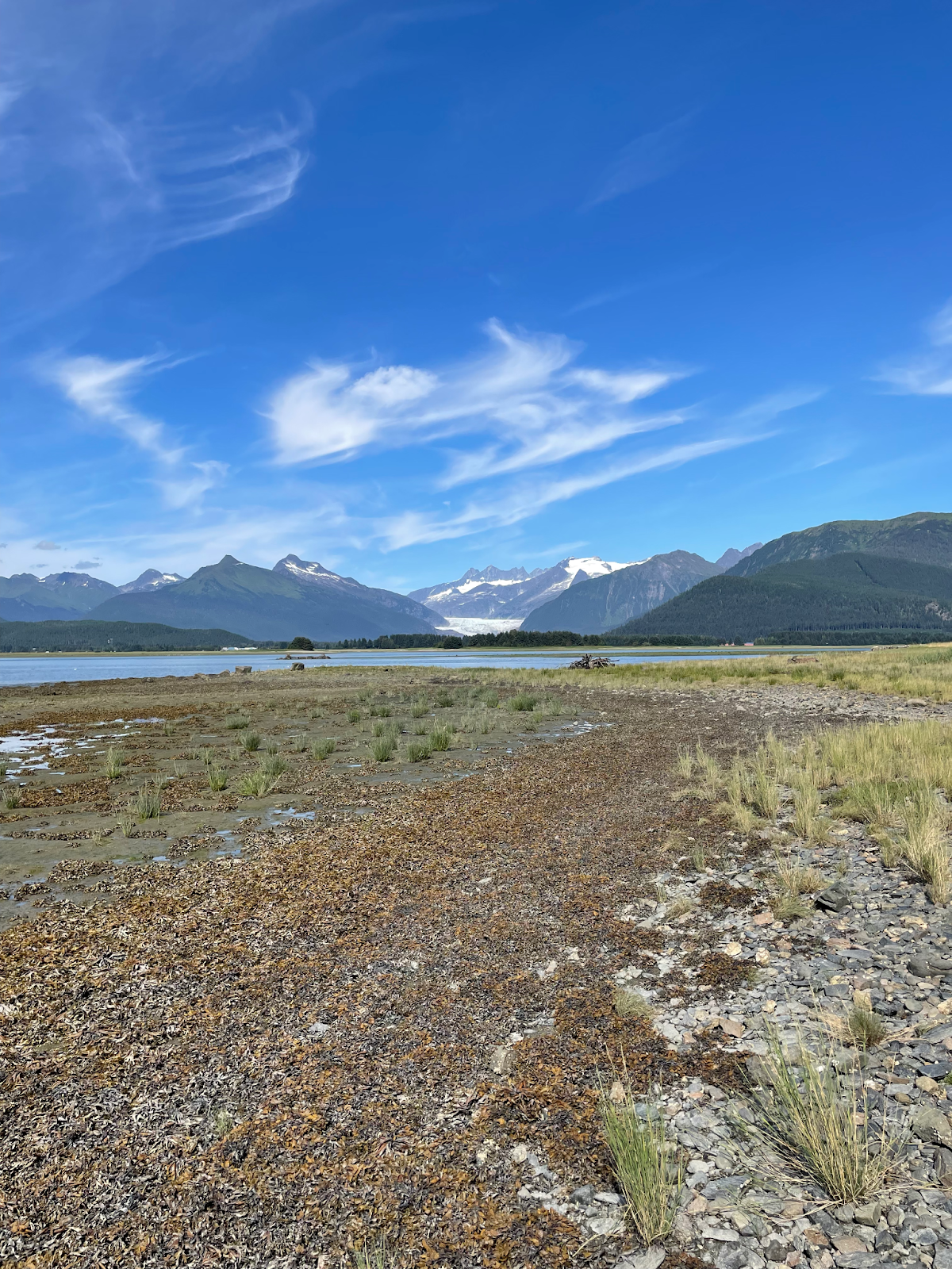 Image showing a marine bay from the perspective of a rocky intertidal beach, with mountains and a glacier far in the distance