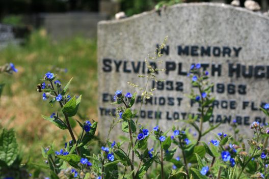 A close up of Sylvia Plath's headstone with blue flowers in the foreground.