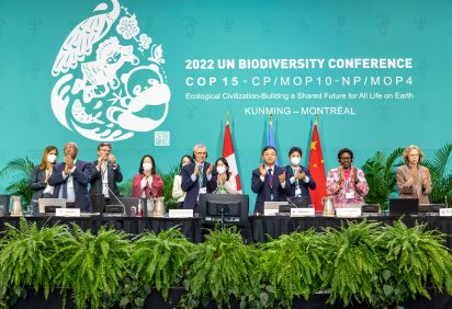 Representatives of member countries of the UN Convention on Biological Diversity are standing behind a conference table, applauding at the 2022 UN Biodiversity Conference (COP 15) in Montreal. The backdrop features a teal wall with the event's title and a stylized design of animals and plants, symbolizing biodiversity. Flags of Canada, the United Nations, and China are visible behind the panelists, who are celebrating the adoption of the Kunming-Montreal Global Biodiversity Framework.