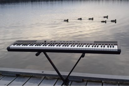 An electric keyboard set up on a dock by a lake with six ducks swimming in the background.