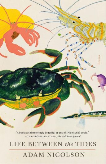 The book cover of "Life Between the Tides" with brightly colored illustrated marine creatures.