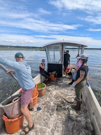 A group of five people work on a small fishing boat, surrounded by calm water under a bright blue sky. Orange baskets and equipment are scattered around.