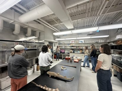 A group of people stand in a laboratory, listening to a presenter. A black table displays natural artifacts, including a fish model, creating an educational atmosphere.