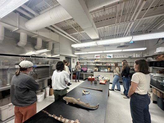 A group of people stand in a laboratory, listening to a presenter. A black table displays natural artifacts, including a fish model, creating an educational atmosphere.