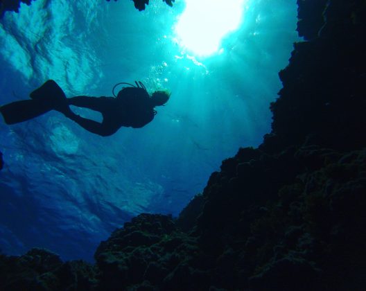 A silhouette of a scuba diver swims between dark coral formations underwater. Sunlight filters down, creating a serene, ethereal atmosphere.