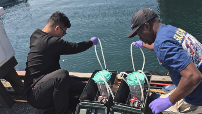Two individuals wearing gloves collect water samples from a dock using tubes and containers. The scene conveys teamwork and scientific research.