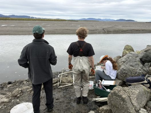 Three people explore a rocky tidal shore, with waders, gear, and a seated woman by the water beneath a cloudy coastal sky.