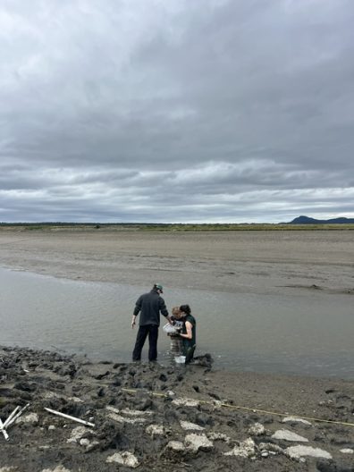 Two people wade through a muddy tidal flat at low tide beneath heavy gray clouds, exploring the shoreline in a quiet, windswept scene.