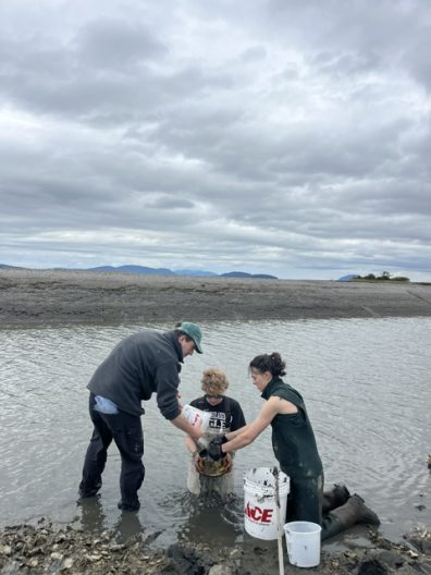 Two adults help a child collect samples in a shallow tidal shore; cloudy skies, rocky mudflats, buckets, and distant hills create a calm scene.