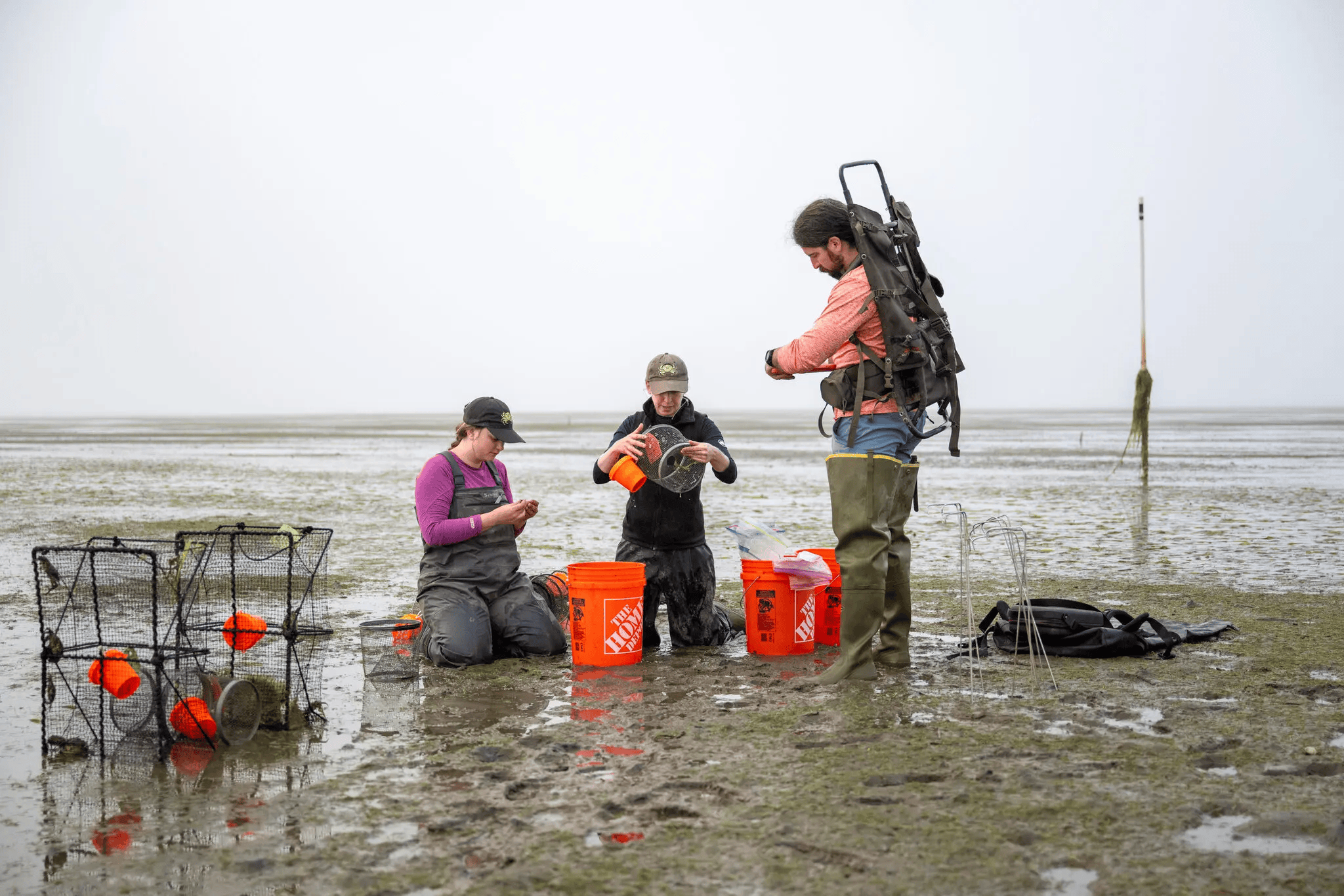 Three researchers collect marine samples on a muddy tidal flat, using buckets and traps; overcast conditions create a focused, calm mood.
