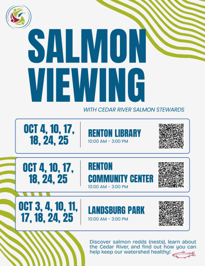 Poster advertising a Cedar River salmon viewing event, with dates and locations at Renton Library, the community center, and Landsburg Park. Blue lettering, green river-like lines, QR codes, and a salmon illustration create an inviting community tone.