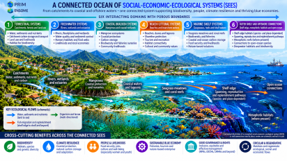 Infographic maps six connected coastal and ocean ecosystems, from mountain forests and rivers to mangroves, reefs, seagrass, and open ocean, highlighting biodiversity and shared benefits.